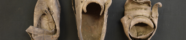 COH shoes hero image 1600 x 345