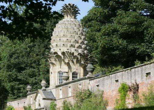 PIneapple 450x321 (1)