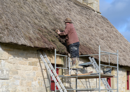 Thatching 450x321