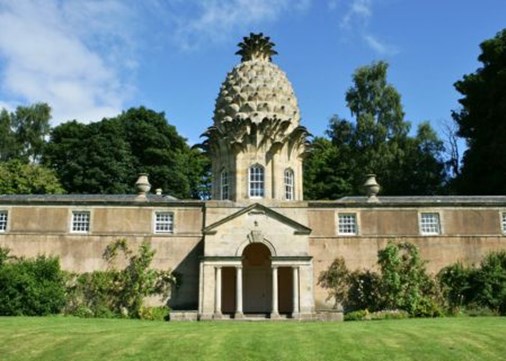 Pineapple 450x321