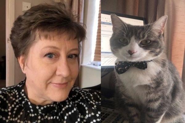 A lady with short brown hair and a grey cat sat beside a computer screen