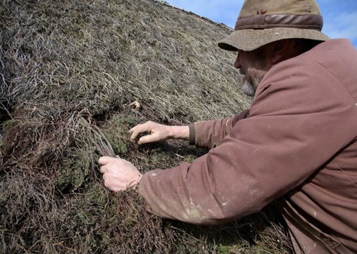 Heather thatching 900x642