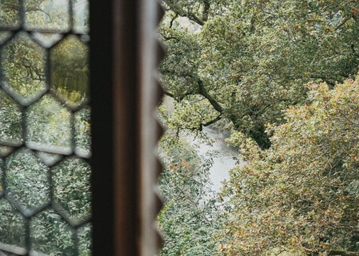 Swiss Cottage trees 900x642