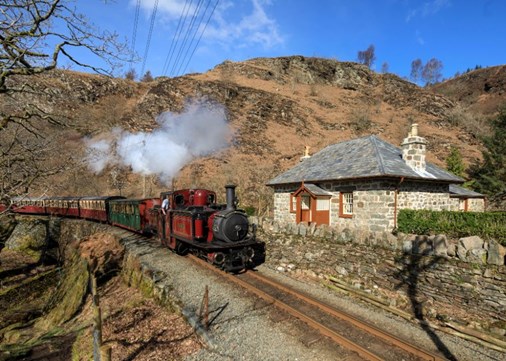 Coed y Bleiddiau 900x642