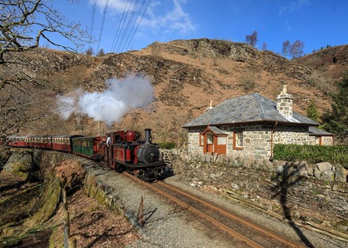 Coed y Bleiddiau 900x642