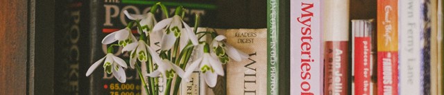 Landmark Libraries 3200x690