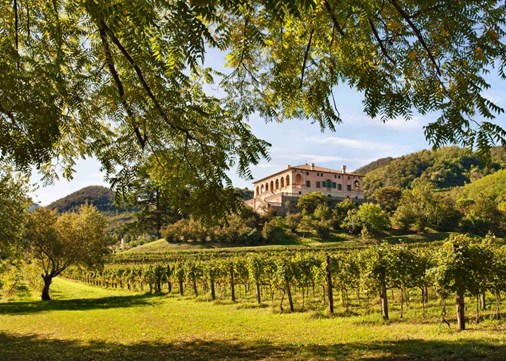 Villa dei Vescovi 900x642