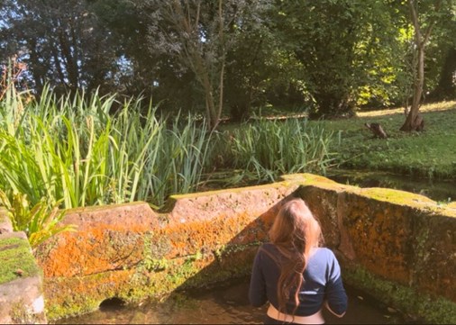 St Winifred's Well 900x642