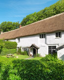 A thatched cottage surrounded by trees