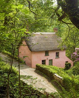 A woodland cottage surrounded by trees
