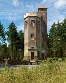 A crenellated tower surrounded by trees