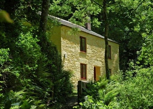 frenchman-exterior-forest-450x321