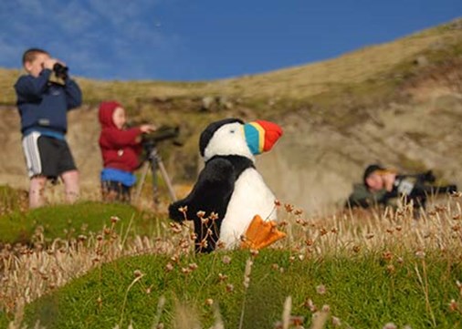 Lundy-exterior-birdwatching-450x321