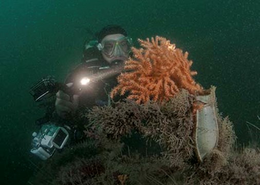 Lundy-exterior-diving-450x321