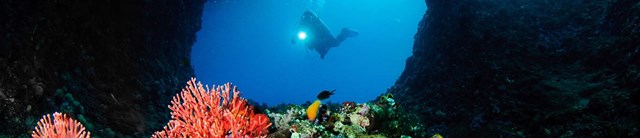 Lundy-exterior-marineconservationzone-1600x345