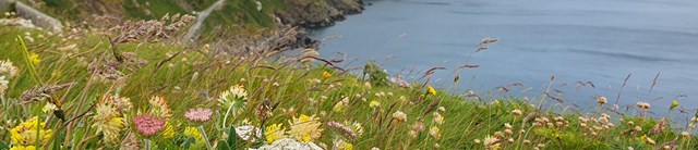 lundy-3200x690