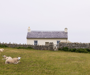 lundy-revivalbuildings-600x500