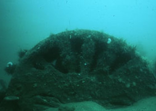 43R.-Iona-II-boiler-(ADU)