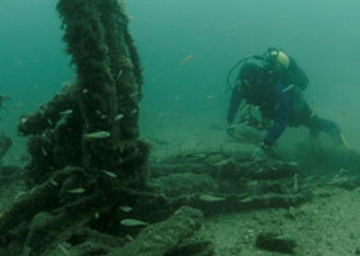 64-67-Hero-image_Wreck-moni