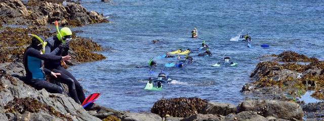 lundy-snorkel-safari