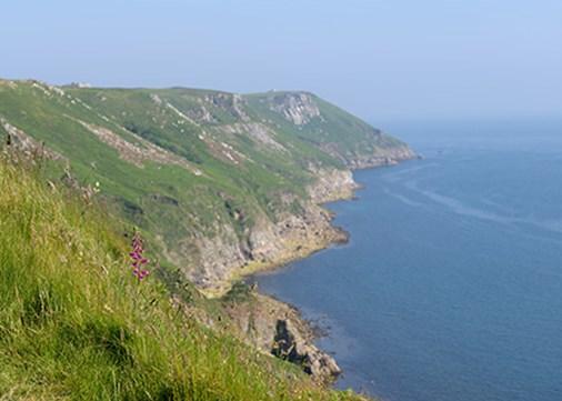 Lundy-landscape-spring-450x321
