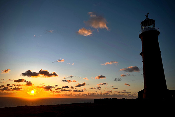 Lundy-Trees-a-crowd-light-house-600x400.jpg