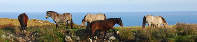 Lundy-exterior-sponsorapony-1600x345
