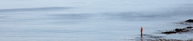 LAND-Saddell-JillTate-1600x345