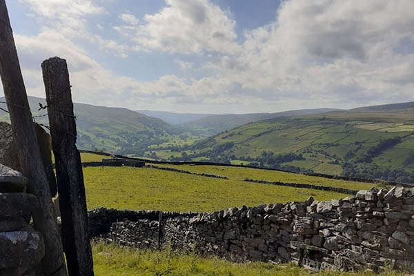 Views of drystone walls across Swaledale