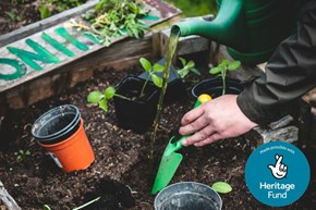 Calverley gardening volunteering 600x400