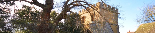 Castle turret through three branches
