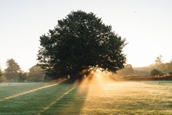 Astley Castle  gardens 1200x800
