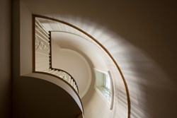 Birdhouse stairs up 1200x800