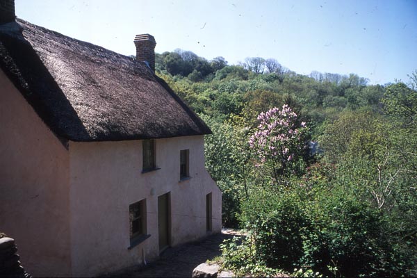 Holiday At Bridge Cottage In Peppercombe North Devon The