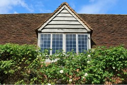 Bush Cottage ext window 1200x800