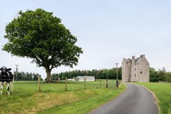 castle of park ext lane 1200x800