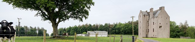 CastleofPark-exterior-cow-1600x345