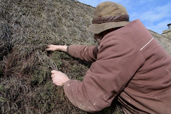 Heather thatching at Causeway House 