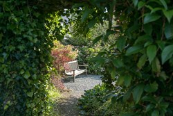Cawsey House garden 1 1200x800