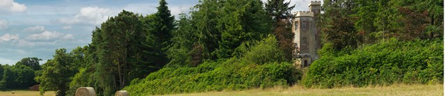 ChinaTower-exterior-fieldwithhay-1600x345