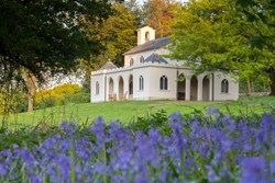cobham dairy exterior bluebellsjpg
