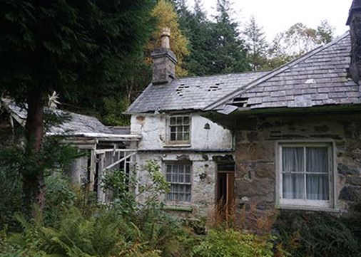 CoedyBleiddiau-before-exterior-back-450x321