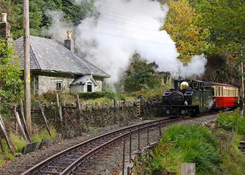 Coedybleiddiau-before-main-450x321