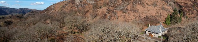 CoedyBleiddiau-exterior-widelandscape-1600x345