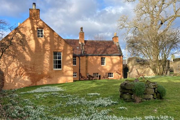 An orange painted house with a green lawn and patches of white snowdrops