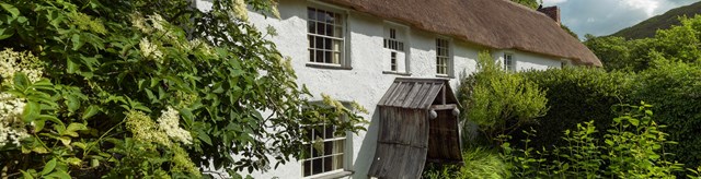 White cottage with thatched roof