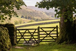 cowside gate 1200x800