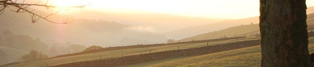 Cowside-external-fields-1600x345