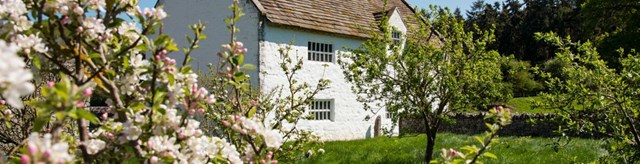 dolbelydr-homepage-spring-hero-1600x410
