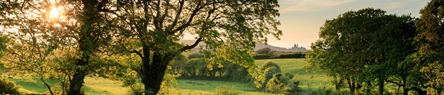 DunshayManor-exterior-garden-cofecastlesunset2-1600x345